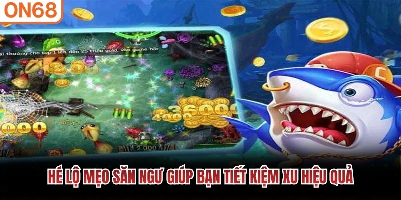H&eacute; lộ mẹo săn ngư gi&uacute;p bạn tiết kiệm xu hiệu quả