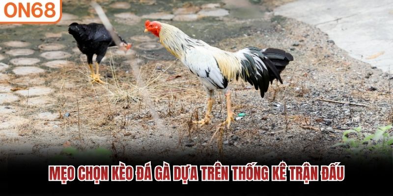 Mẹo chọn kèo đá gà dựa trên thống kê trận đấu